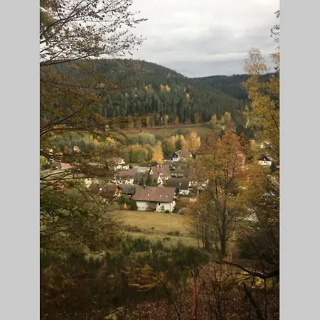 Gabriel's Ferienwohnung Enzklösterle